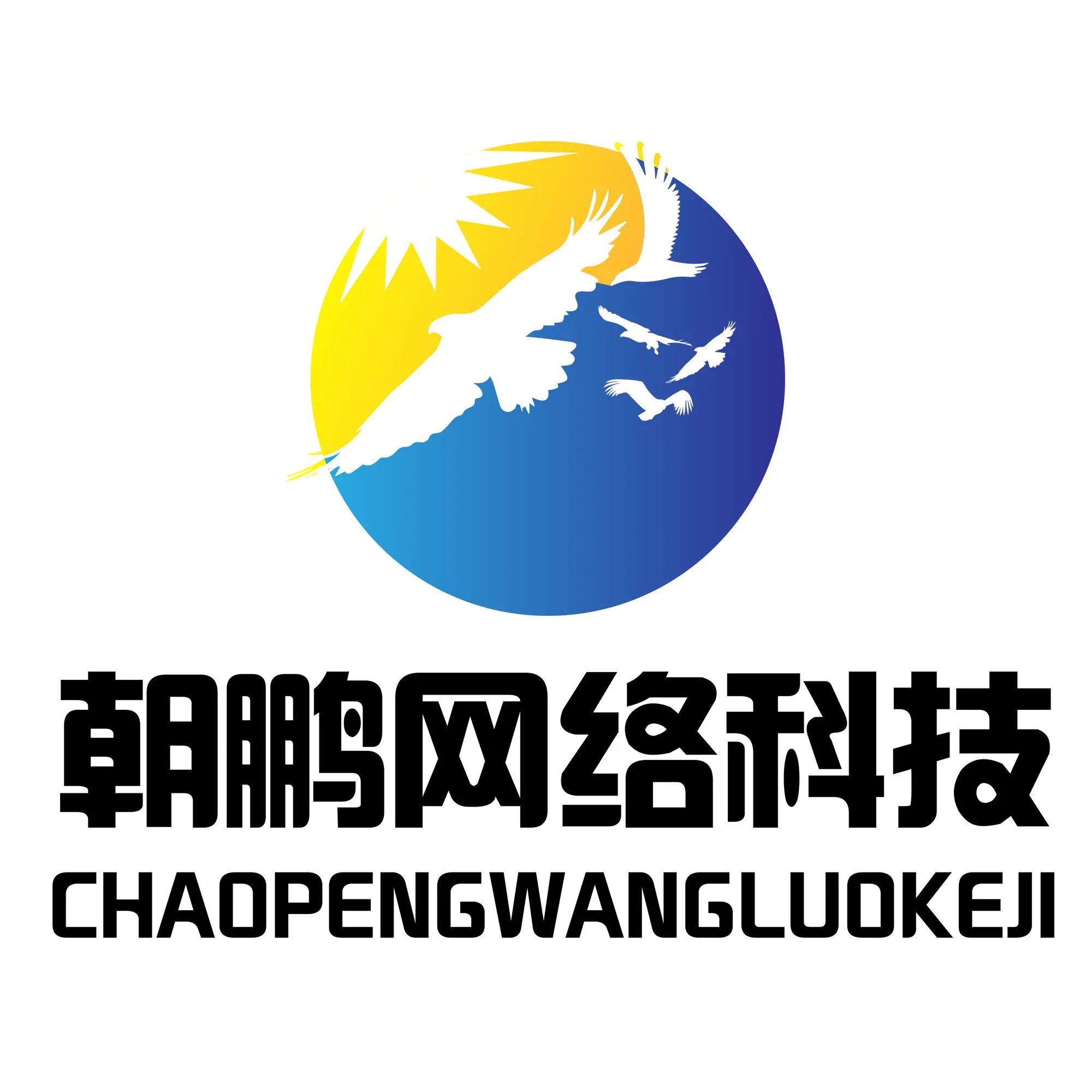 江西朝鹏网络科技